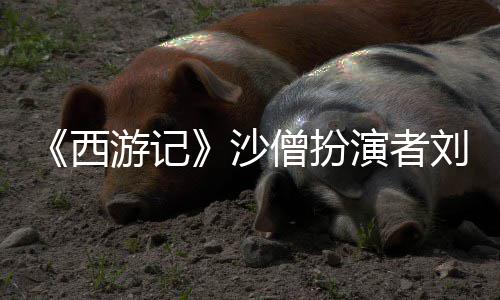 刘大游记演者刚去西享年沙僧扮世 岁