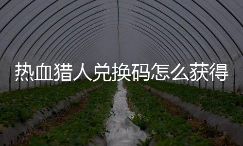 热血热血兑换得 兑换4大猎人猎人码怎么获码免取2全费领