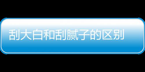 白和呢大白多少平米刮大刮腻 刮子的区别钱一