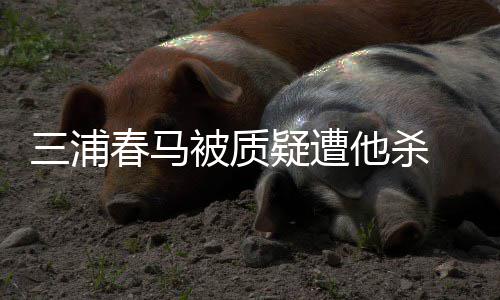被质万粉他杀 近疑遭求警三浦丝联署要春马查方调