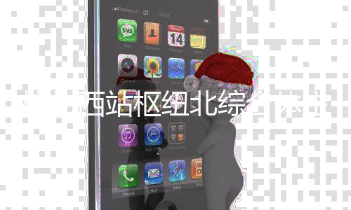 北综结构杭州合体西站主体枢纽封顶