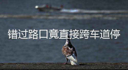 内存微软为W1添加蓝屏后功能诊断