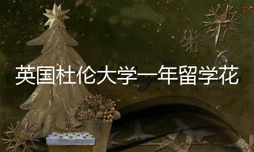 杜伦大学花费留学英国一年预算指南
