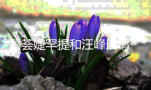 汪峰提和婕罕旧情言相葛荟果信章小苹 直子怡真爱