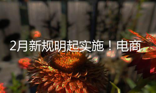 台不退款家仅及运电得强2月新规制商明起实施商平费险