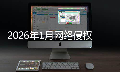 报受报年1络侵理处月网况通置情权举